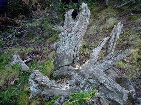 photo coins arrondis